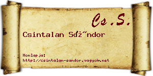 Csintalan Sándor névjegykártya